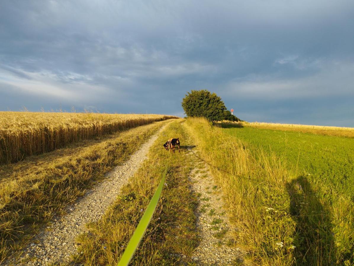 B&B Family Basement Apartment, Breakfast, Free Parking, 5Km From Tulln Chorherrn Exterior foto
